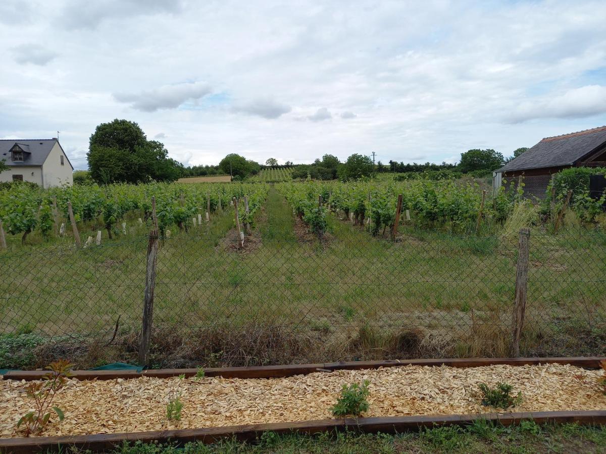 Hebergement Sarment Du Veron Chinon Villa Beaumont-en-Véron Exterior foto